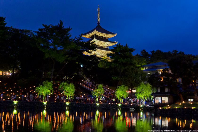 猿沢池と興福寺ライトアップ