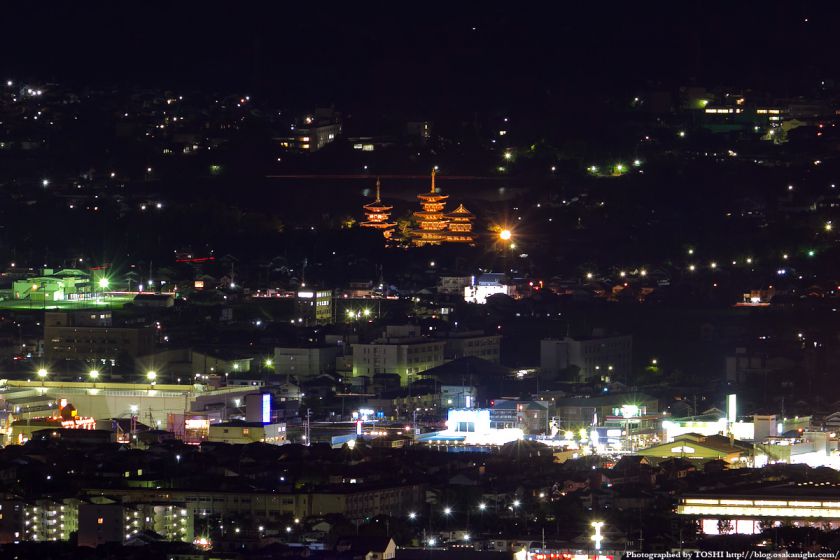 若草山から見た薬師寺の夜景