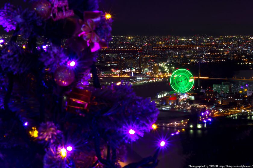 大阪府咲洲庁舎コスモタワー展望台 100ツリーズ・クリスマス2012 03