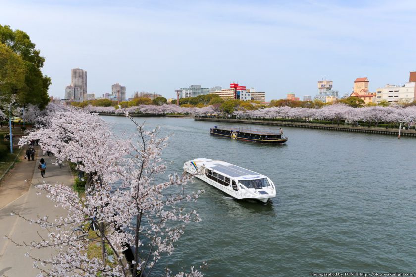 桜之宮公園 桜満開の大川沿い 2013 01