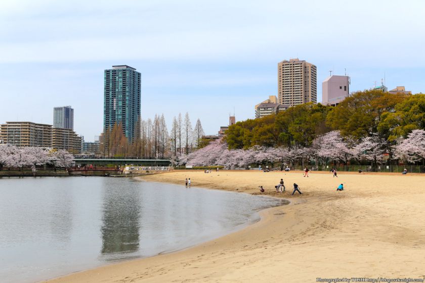 桜之宮公園 桜満開の大川沿い 2013 05 (大阪ふれあいの水辺)