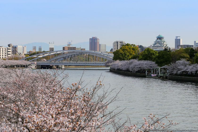 桜之宮公園 桜満開の大川沿い 2013 13 (銀橋と大阪城)