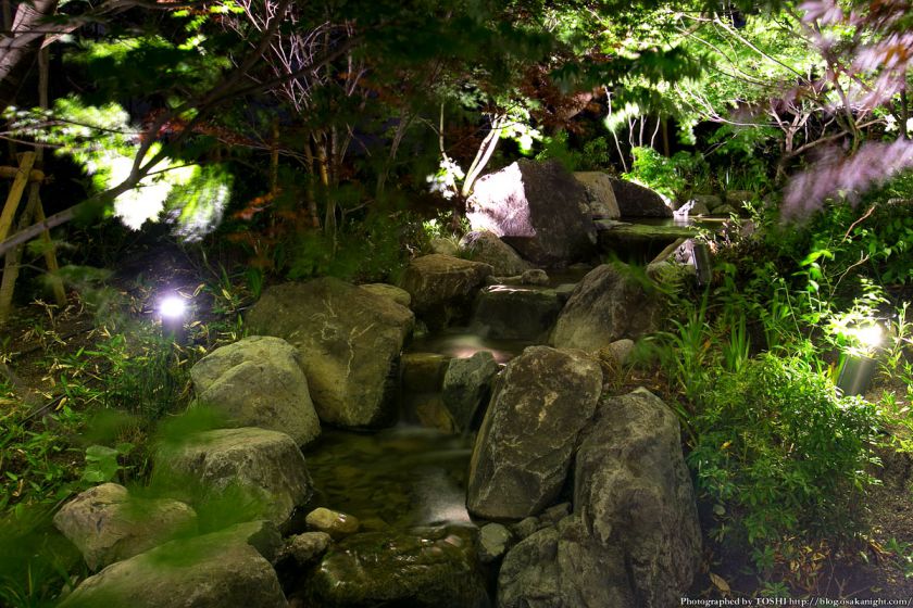 グランフロント大阪 ザ・ガーデン 夜景 05