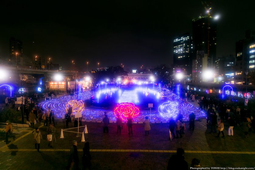 OSAKA光のルネサンス2013 ローズライトファンタジア 02