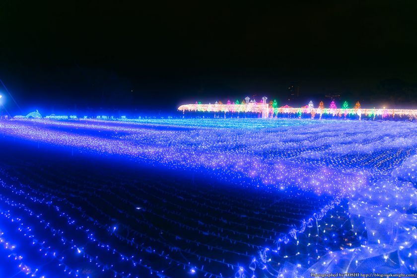 大阪城 イルミネーション 2013 光のビッグブルー