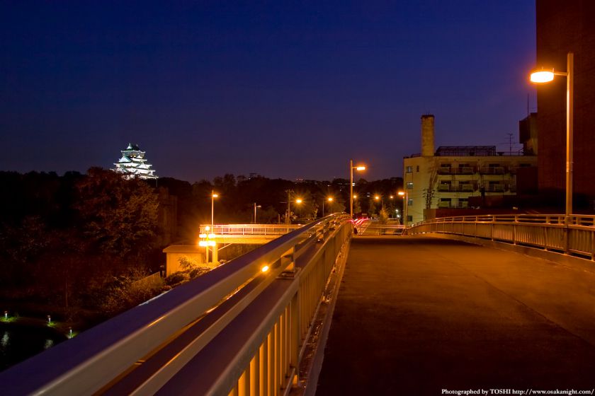 大坂橋の夜景