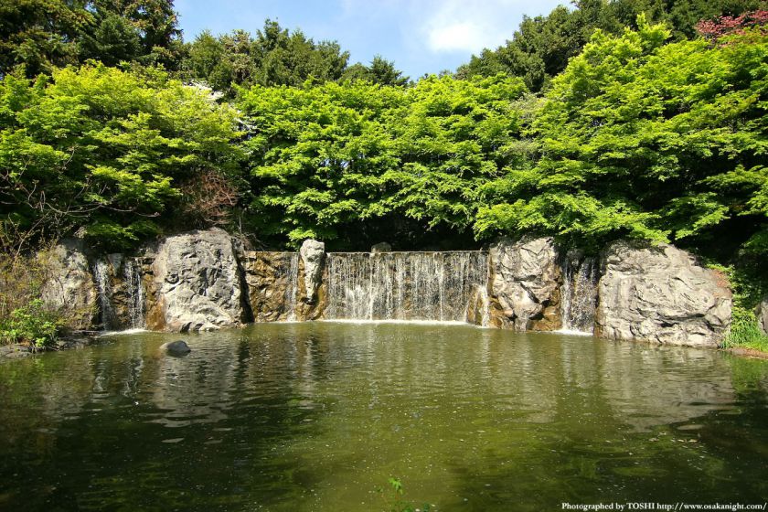鶴見緑地 カナダ庭園の滝