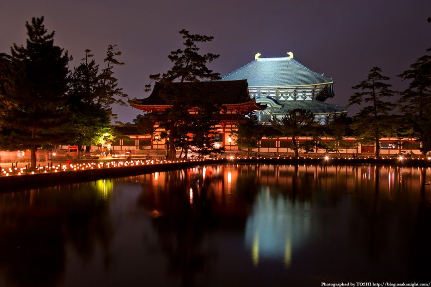 東大寺 鏡池の夜景