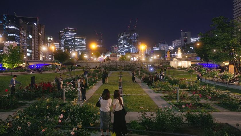 春の見頃を迎えた中之島バラ園の夜景